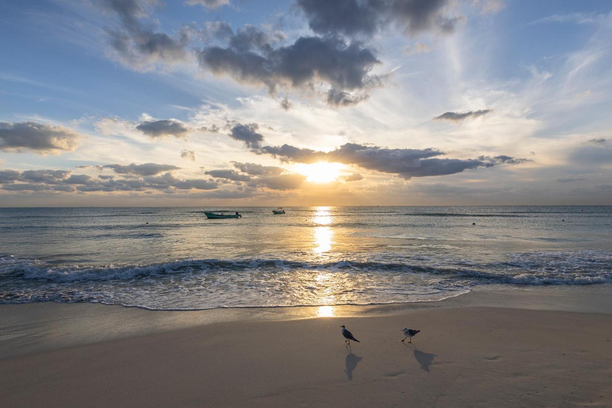 Areia Playa Del Carmen - Beach Front Hotel Luaran gambar